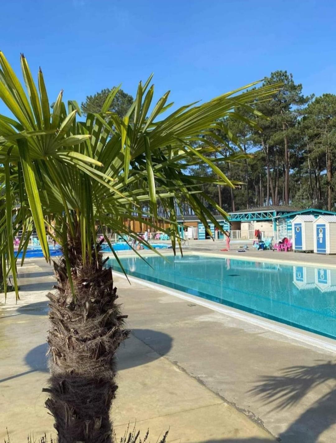 Les Dunes De Contis 4 Etoiles Emplacement 459 3ch 1sdb 8 Pers